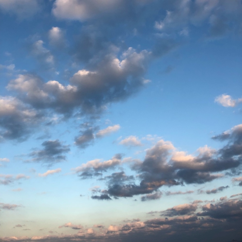 Meet your Posher, Angelina